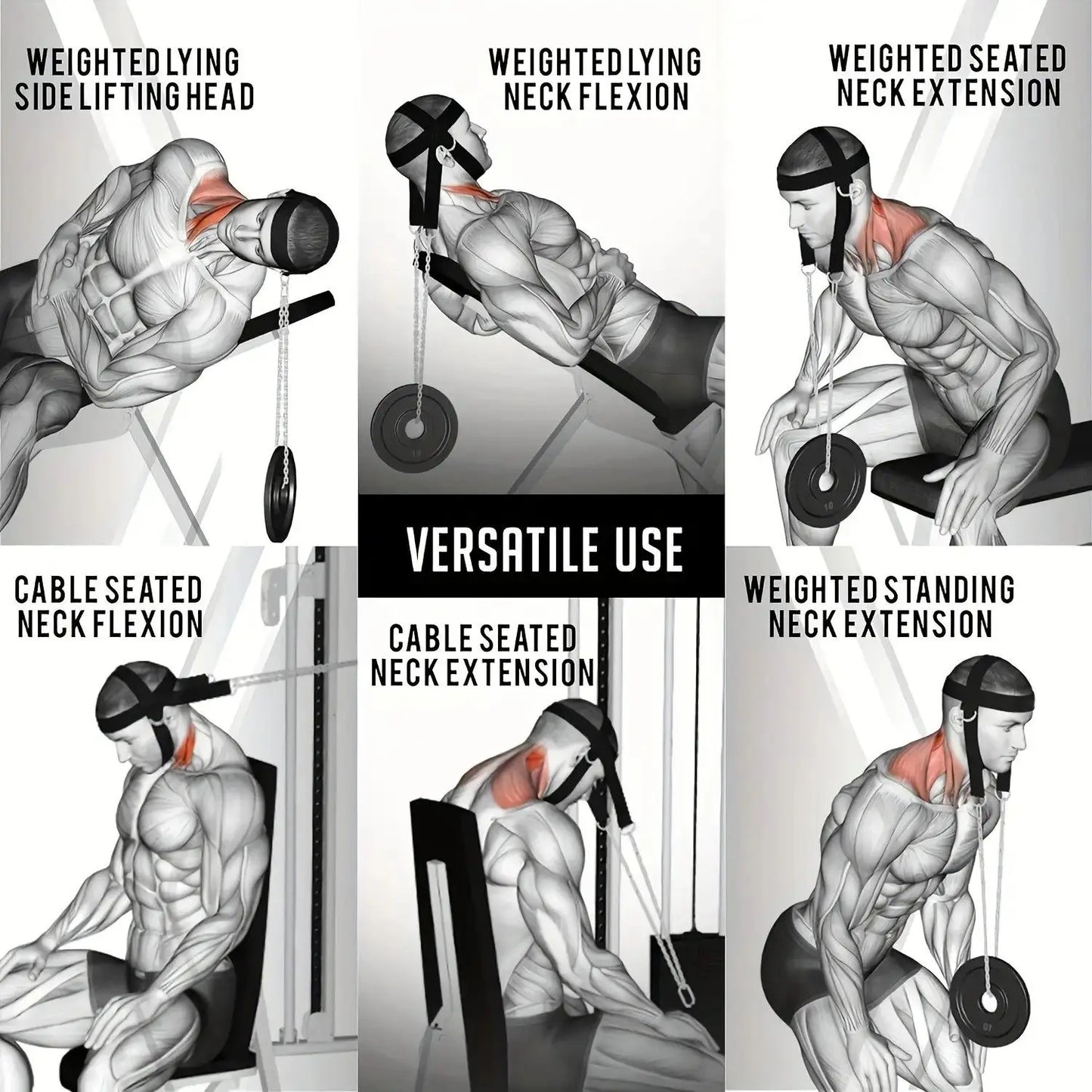 Head Neck Training Head Harness