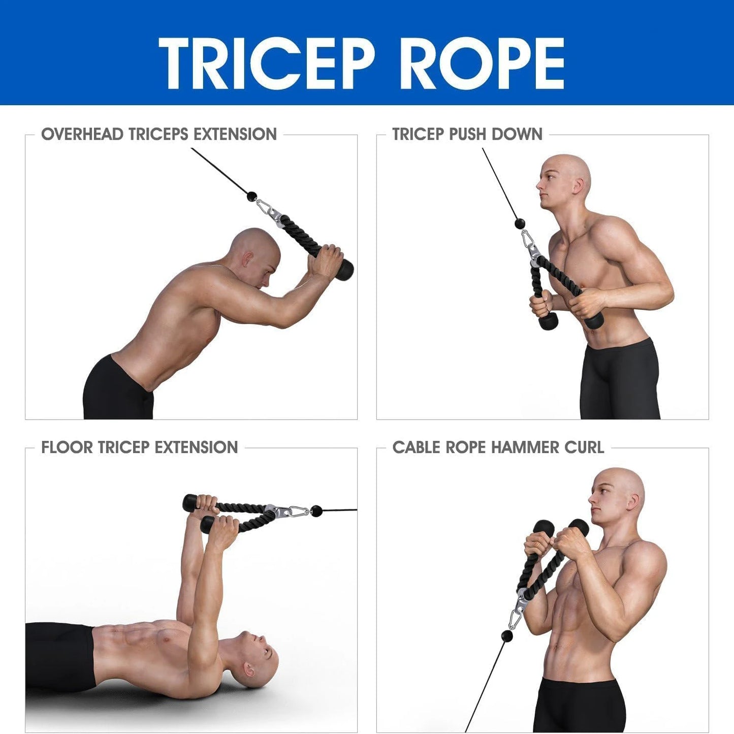 Triceps Rope Pull Down Cable Rope